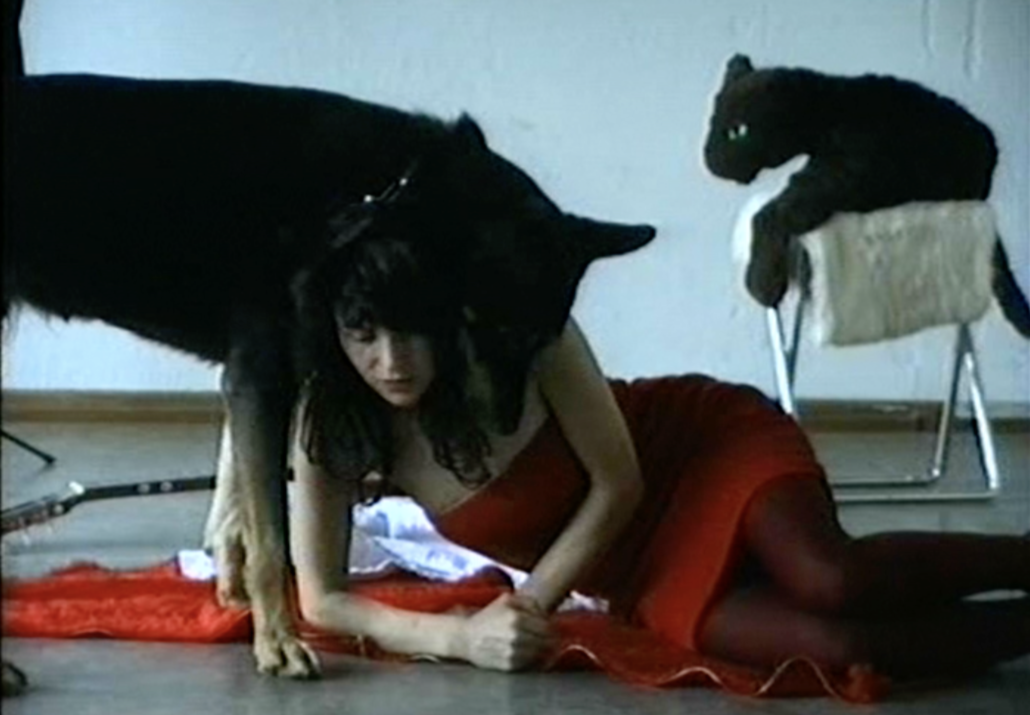 CatDogMe