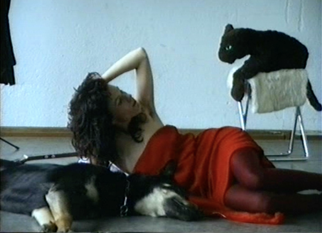 CatDogMe3